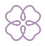 Why choose jacaranda
